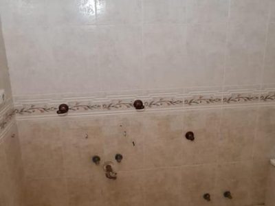 4096426-aa817601