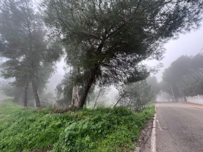 4106948-1ea71519