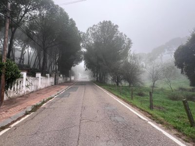 4106948-737490bf