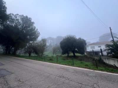 4106948-9daa9151