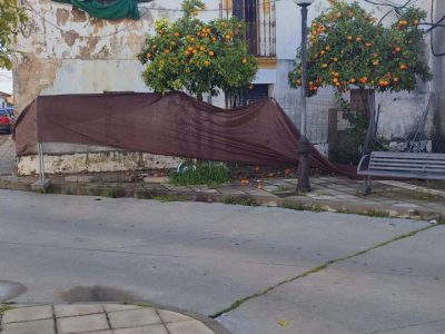 4112945-070777d1